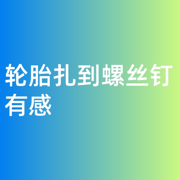 鈀碳回收，輪胎扎到螺絲釘有感