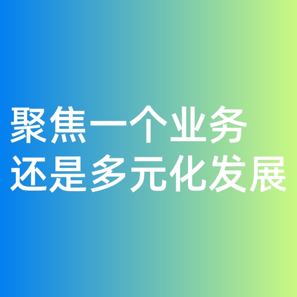 鈀碳回收, 聚焦一個(gè)業(yè)務(wù)，還是多元化發(fā)展